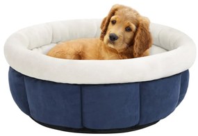 Cama para cães 40x40x20 cm azul