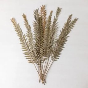 Pack De 10 Ramos Secos Decorativos Sarat Verde Bambu - Sklum