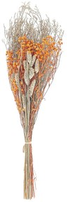 Ramo de flores secas laranja 65 cm CERCEDILLA Beliani