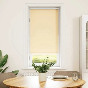 Estore de rolo 60 x 120 cm, Bege