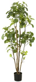 Árvore artificial Polyscias em vaso 160 cm