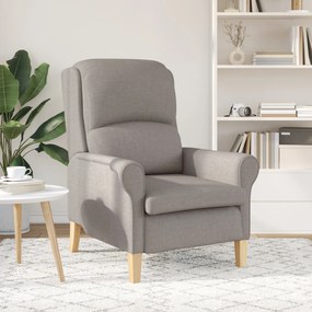 Poltrona Moderna Taupe Tecido de Poliéster com Pernas de Madeira