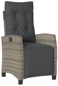 9 pcs conjunto de jantar p/ jardim c/ almofadões vime PE cinza