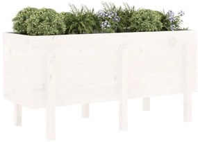 Canteiro elevado de jardim 121x50x57 cm pinho maciço branco