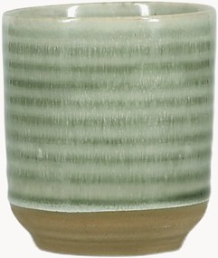 Chávenas Cameo Green, conjunto de 4