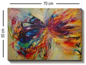 Tela Decorativa 733065 – Multicolor – 50 x 70 cm