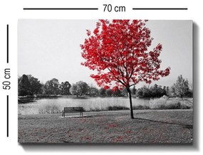 Tela Decorativa Modelo 247248526 – Multicolor – 50 x 70 cm