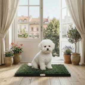 Sanitário para Cães, 63 x 50,5 x 3,5 cm, Sistema de 3 Camadas, Preto