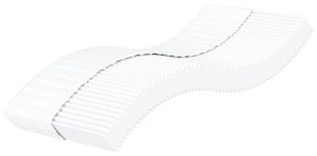 vidaXL Colchão de espuma 100x200 cm dureza H2 H3 branco