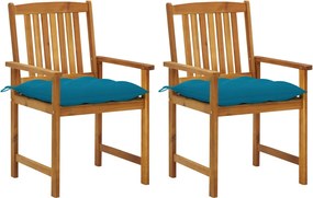 vidaXL Cadeiras de jardim com almofadões 2 pcs acácia maciça