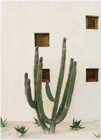 Póster Cabo Cactus IX