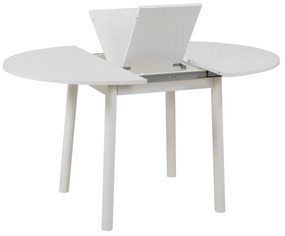 Conjunto de Mesa de Jantar Extensível e Cadeiras Oliver – Branco – Mes