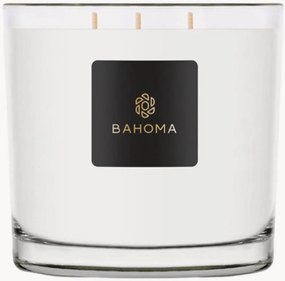 Vela perfumada artesanal com dois pavios Classic (especiarias de laranja)