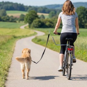 Trela para cães para andar de bicicleta, 180 cm, em aço inoxidável, fixação rápida, mola amortecedora, correia ajustável, prateada