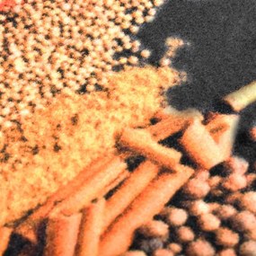 Tapete de cozinha lavável com design Spice 60x300 cm