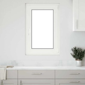 vidaXL Janela de porão "RISOR" 60x100 cm oscilobatente DIN direita branca