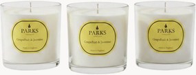 Velas perfumadas artesanais Vintage Aromatherapy (toranja, jasmim, almíscar branco), conjunto de 3