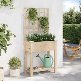 Jardineira vidaXL com Treliça e Prateleira 71x37x152 cm Madeira Sólida