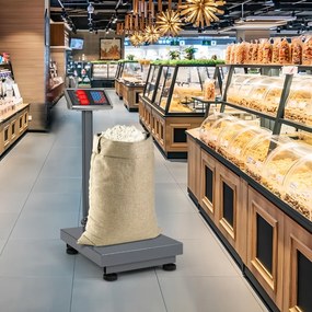 Balança industrial digital computadorizada de 300 kg Balança de plataforma com calculadora de preço Ecrã LED transparente Prata