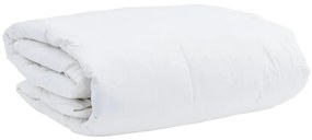 Edredão com travesseiro 2 pcs Branco 140 x 220 cm Penugem