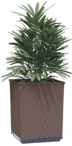 Vasos/floreiras 4 pcs 30x30x37 cm polipropileno castanho