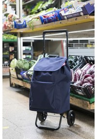 Carro de Compras Gimi Argo 37 x 33 x 95,5 Azul 45 L