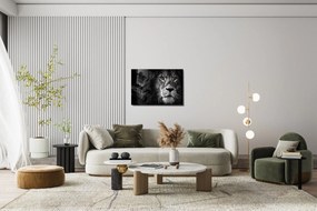 Pintura em Vidro Temperado Decorativa UV-008 – Multicolor – 70 x 100 c