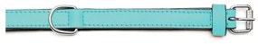 Coleira para Cães Gloria Acolchoado Turquesa (30 x 1,5 cm)