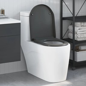 Assento de Vaso Sanitário com Liberação Rápida e Fechamento Suave Duroplast Antracite
