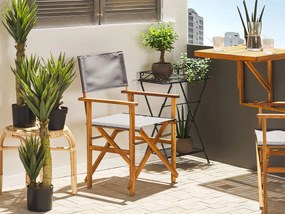 Conjunto 2 cadeiras madeira clara e 2 lonas creme e padrão palmeira CINE Beliani