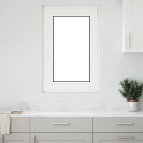 vidaXL Janela de porão "RISOR" 60x100 cm oscilobatente DIN direita branca