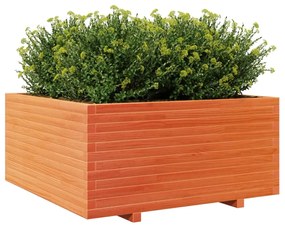Vaso/floreira jardim 100x100x49,5 cm pinho maciço castanho mel