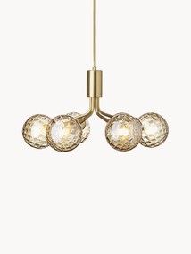 Glass Ball Pendant Lamp Apiales
