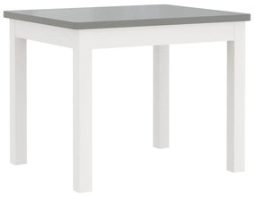 Conjunto Infantil de Mesa e 2 Cadeiras - Branco/Cinzento - Design Nórd