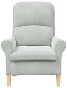 Poltrona Cinza Claro Cinzento-claro Standard