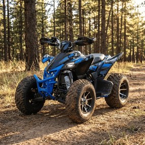 Mini moto 4 gasolina para crianças 250cc Typhoon R10 Azul