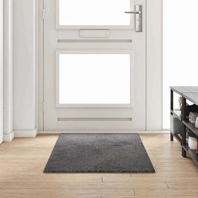 vidaXL Runner de Carpete Cinzeto 80 x 200 cm 100% Polipropileno Tuft