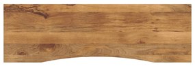 vidaXL Tampo de mesa com curva 160x50x2,5 cm mangueira áspera maciça