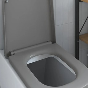 Assento de Vaso Sanitário com Fecho Suave Duroplast Cinza