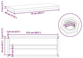 Prateleiras de parede 2 pcs 75x30x3 cm aço inoxidável prateado