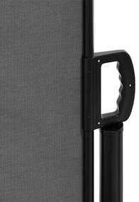 Toldo lateral retrátil 220x1000 cm antracite