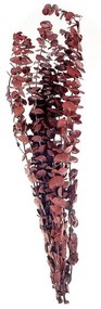 Ramo de flores secas vermelho escuro 56 cm BADAJOZ Beliani