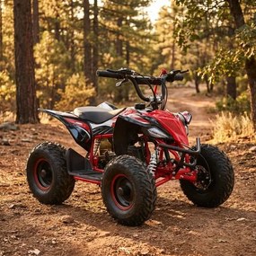 MINI MOTO 4 INFANTIL GASOLINA 50CC MTR MINI KF VERMELHA