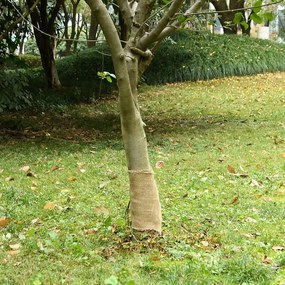 vidaXL Rolo de juta 0,25x50 m 100% juta 200 gsm
