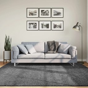 vidaXL Tapete de pelo curto OVIEDO 200x200 cm antracite