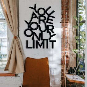 Acessório Decorativo de Parede Limit – Preto – 37 x 52 cm