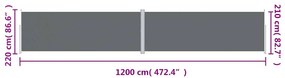 Toldo lateral retrátil 220x1200 cm antracite
