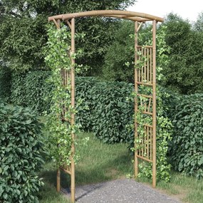 vidaXL Arco para rosas em bambu 118x40x187 cm