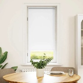 Estore de rolo 60 x 120 cm, Branco