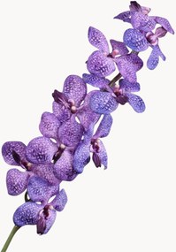 Flores artificiais Vanda, conjunto de 2